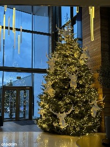 Luksusowy apartament z prywatnym molo