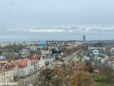 al. Niepodległości, Zajęcze Wzgórze, Górny Sopot, Sopot, pomorskie