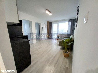 Świdnica, świdnicki, dolnośląskie