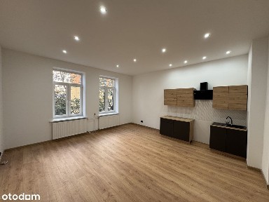 Mieszkanie 45 mkw, centrum, po generalnym remoncie - od zaraz !