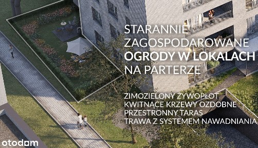 ul. Smardzewska, os. Mikołaja Kopernika, Grunwald, Poznań, wielkopolskie