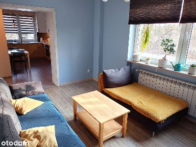 Niesamowite mieszkanie w mieście z widokiem jak z domu na wsi