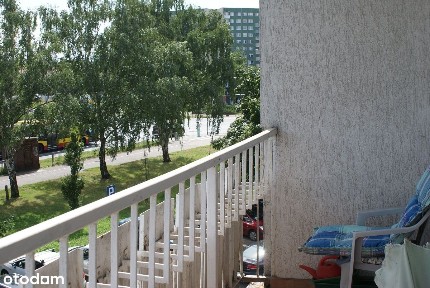 al. Jana Kasprowicza, Karłowice, Psie Pole, Wrocław, dolnośląskie