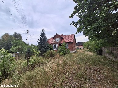 Do sprzedania dom 80m2 w Nieswiniu Końskich na działce 4300m2