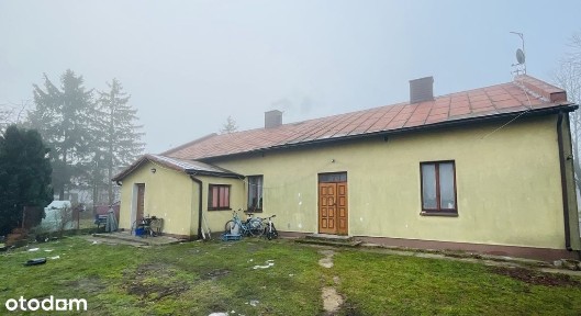 Dom z potencjałem na dużej działce.