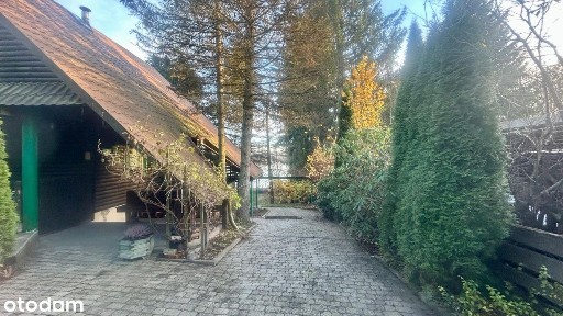 Dom pod Olsztynem w pierwszej linii brzegowej!