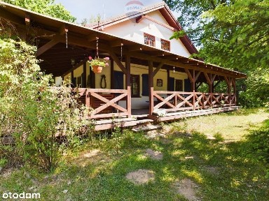 Siedlisko w otulinie lasu