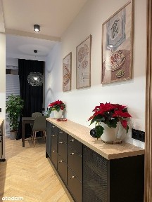 Domaniewska 47a, ogródek, garaż, komórka w cenie