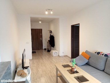 ul. Romana Dmowskiego, Nadodrze, Śródmieście, Wrocław, dolnośląskie