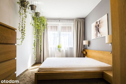 Piękne komfort cicho 2 pok. - Mosiężna (boczna Grabisz.) bez prowizji!