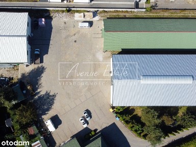 ul. Płochocińska, Szamocin, Białołęka, Warszawa, mazowieckie