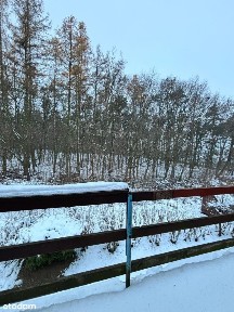 Mieszkanie w środku lasu - do remontu