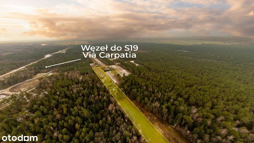 Zadbane siedlisko z charakterem tradycyjnego, podlaskiego gospodarstwa