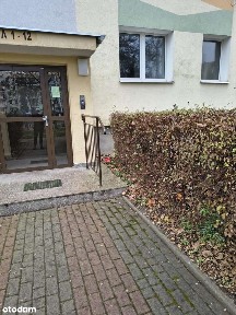 mieszkanie do generalnego remontu