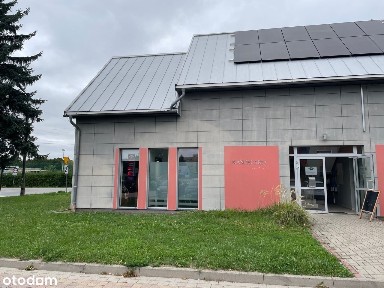 ul. Modrzewiowa, Ząbkowice Śląskie, ząbkowicki, dolnośląskie