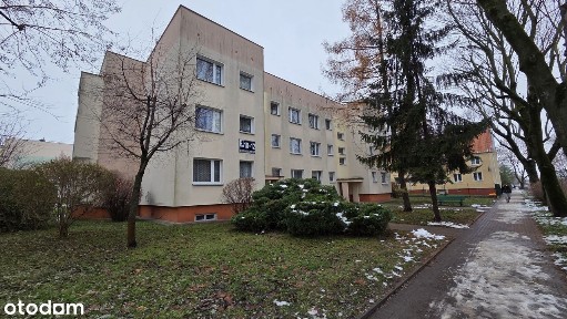 3 Pokoje | 1. Piętro | Balkon | Idealne dla Rodziny | Malbork Południe