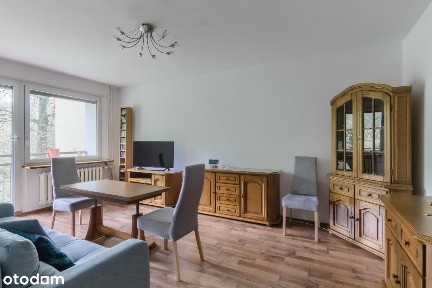 Łabędy M4 do wynajęcia