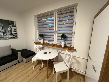 Kawalerki do wynajęcia kasztanowa