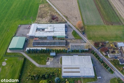 Czerniejewo hale magazynowo-produkcyjne sprzedam