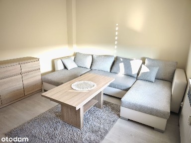 ul. Przybyszewskiego, 2 pokoje, po remoncie, umeblowane