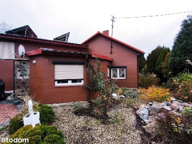 Wynajmę parterowy dom pod Koninem, piec gazowy, fotowoltaika, działka