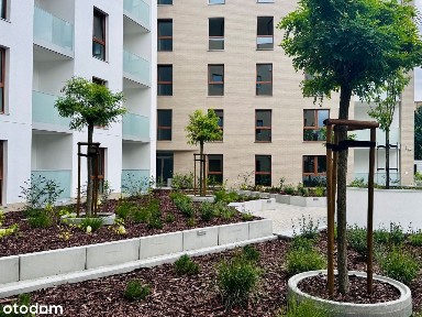 ul. Aleksandra Zawadzkiego, Zawadzkiego-Klonowica, Zachód, Szczecin, zachodniopomorskie