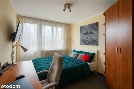 ul. Grabowa, Koszutka, Katowice, śląskie