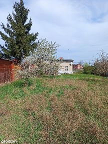 Dom, 64,70 m², Piła