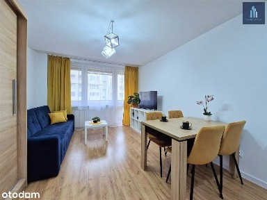 Komfortowe mieszkanie 2 pokojowe do wynajęcia.