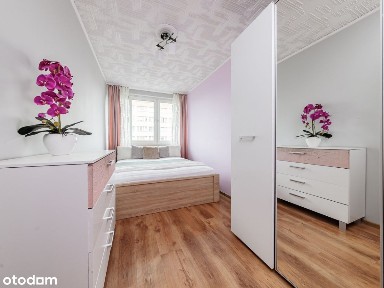 ul. Józefa Siemieńskiego, Rakowiec, Ochota, Warszawa, mazowieckie