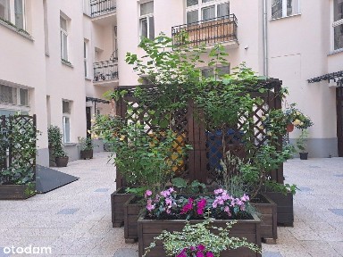 Piękna Odrestaurowana Kamienica Z Windą.