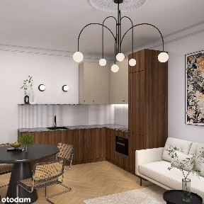 ul. Oleśnicka, Ołbin, Śródmieście, Wrocław, dolnośląskie