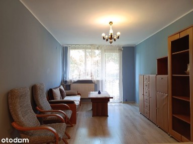 Ekspozycja okien na drzewa || 2 pokoje 36m2 || 1 piętro z balkonem