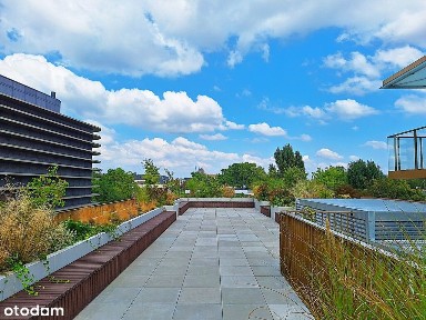 Przedmieście Świdnickie, Stare Miasto, Wrocław, dolnośląskie
