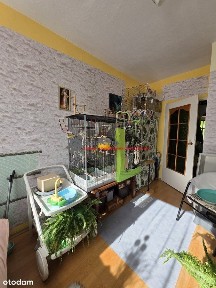 Mieszkanie na sprzedaż w Wałbrzych