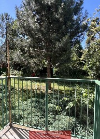 Położone w zielonej okolicy: Inżynierska!