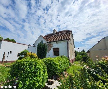 Mieszkanie | 2 pokoje | 62 m2 | parter | ogródek | Proszków k/Środy Śl