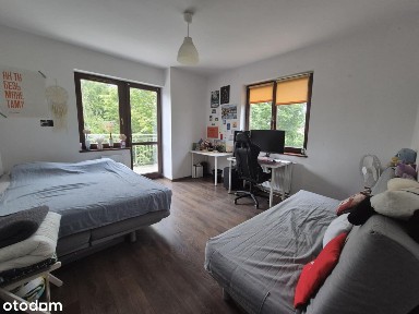 ul. Henryka Hipolita Rodakowskiego, Biskupin, Śródmieście, Wrocław, dolnośląskie