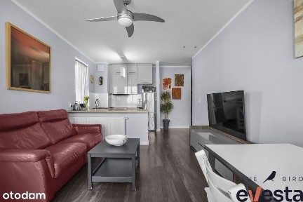 3 pokoje media miejskie Psie Pole blok 2018 Zielna