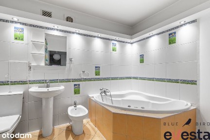 Żeromskiego/centrum/3pok/rozkładowe