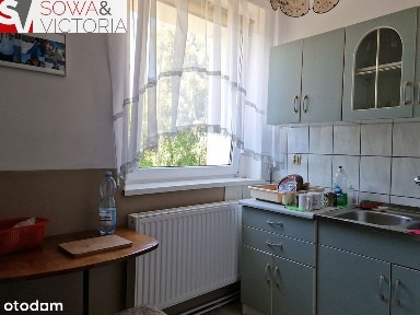 Ogródek, garaż, zieleń, górski widok