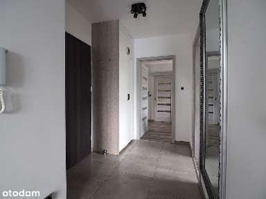 Wyjątkowa Okazja! Cena nie do pobicia!