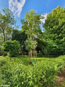 ul. Żytnia, Przedmieście Świdnickie, Stare Miasto, Wrocław, dolnośląskie