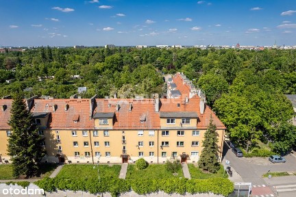 ul. Borowska, Gaj, Krzyki, Wrocław, dolnośląskie