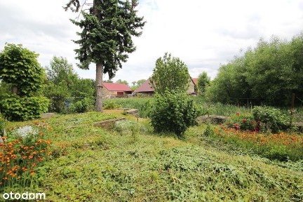 Przestronne mieszkanie z ogródkiem w Chroślicach