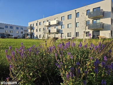 Gotowe Mieszkanie | 4 pokoje | 1 piętro | Przy Parku!