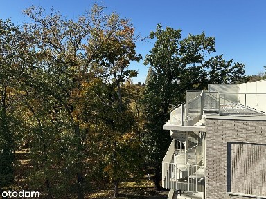 al. Ludomira Różyckiego, Zalesie, Śródmieście, Wrocław, dolnośląskie