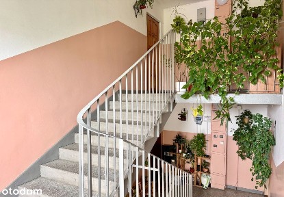 ul. gen. Mariusza Zaruskiego, Gaj, Krzyki, Wrocław, dolnośląskie