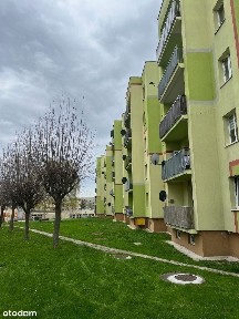 I piętro, do zamieszkania 2 pokoje Lubań