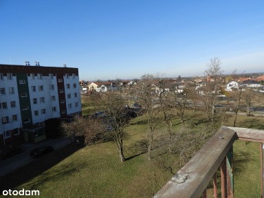 kawalerka na Andromedy w Głogowie